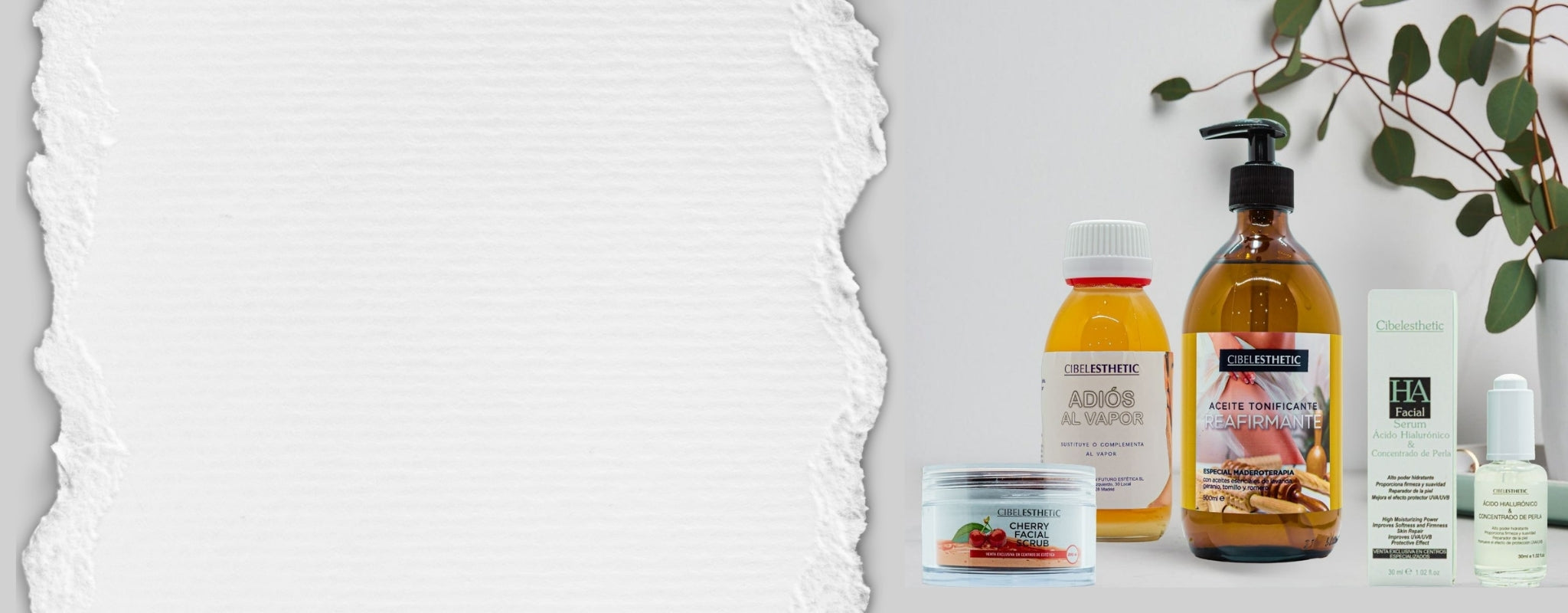 Nuestro catálogo incluye una amplia variedad de formulaciones y estamos en constante evolución para ajustarnos a las demandas del mercado y marcar nuevas tendencias