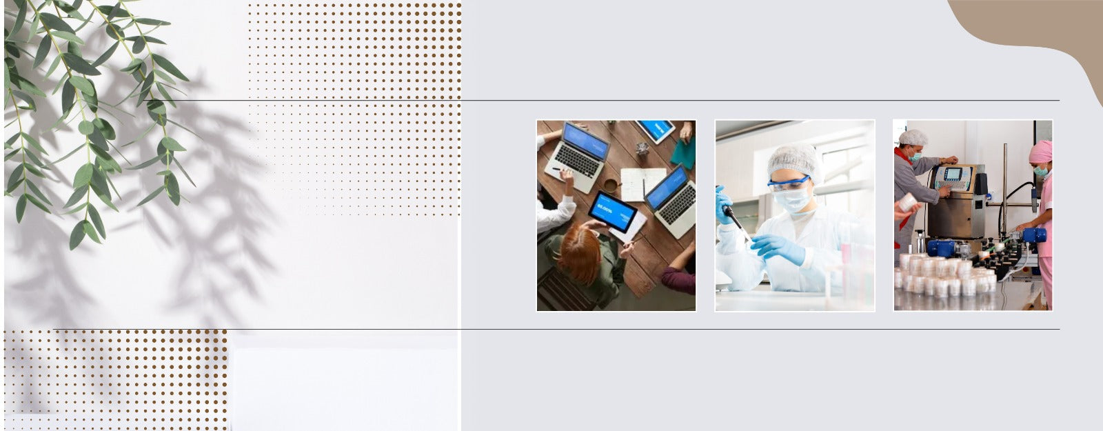 origen de los productos