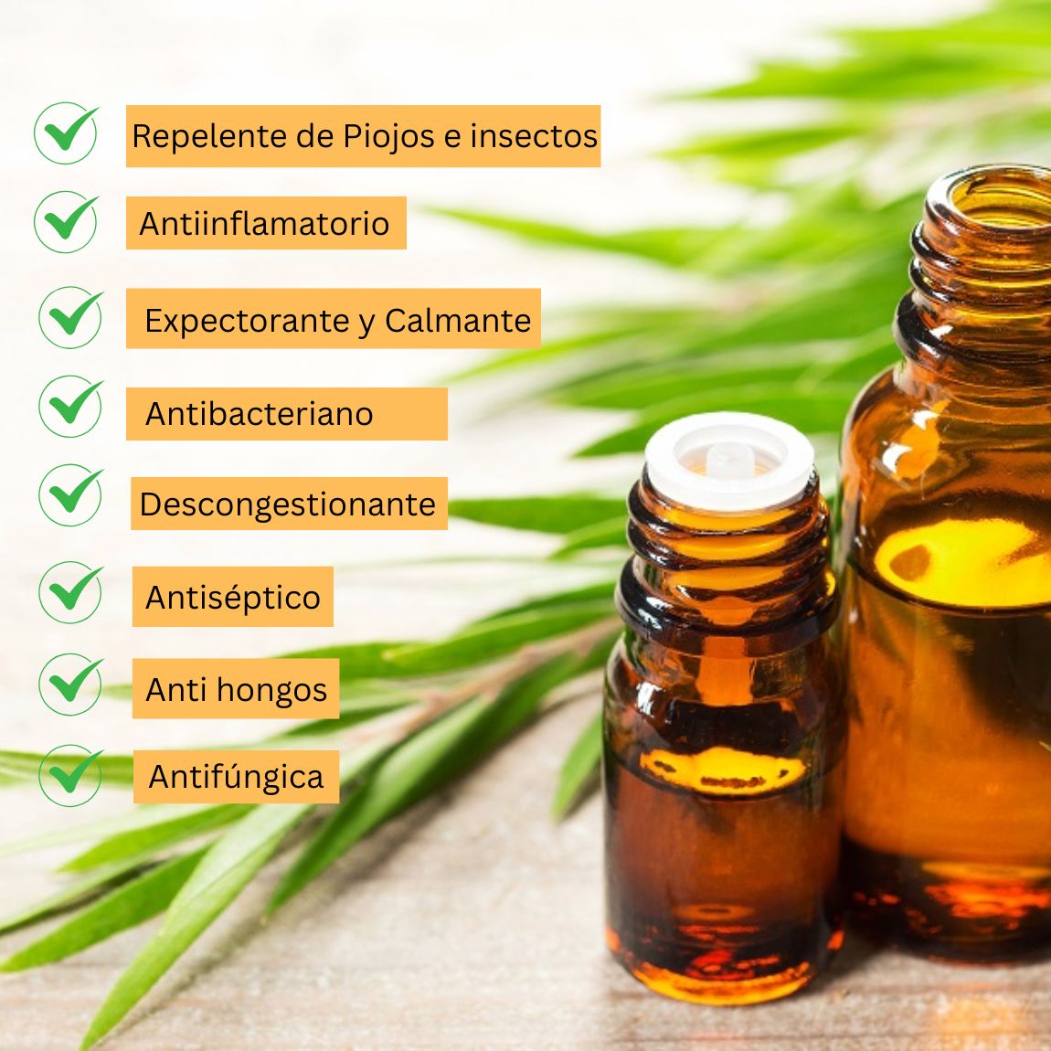 Aceite de Arbol de té - 10ml.